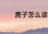 麂子怎么读 麂子读音及解释