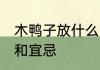 木鸭子放什么旺财 摆放木鸭子的作用和宜忌