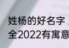 姓杨的好名字 好听的杨姓男孩名字大全2022有寓意