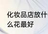 化妆品店放什么花旺财 生意店里放什么花最好