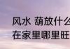 风水 葫放什么地方旺财 葫芦可以放在家里哪里旺财