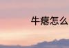 牛瘪怎么读 牛瘪的读音