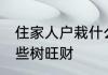 住家人户栽什么树旺财 住家人户栽哪些树旺财