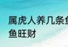 属虎人养几条鱼旺财 属虎人养多少条鱼旺财