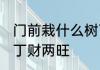 门前栽什么树丁财两旺 门前栽哪些树丁财两旺