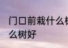 门口前栽什么树镇宅旺财 门口前栽什么树好