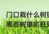 门口栽什么树镇宅旺财吉利富 门口栽哪些树镇宅旺财吉利富