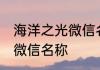 海洋之光微信名称好听吗 好听壮阔的微信名称