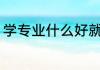 学专业什么好就业 大学专业怎么选择