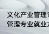 文化产业管理专业就业方向 文化产业管理专业就业方向有哪些