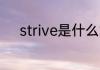 strive是什么意思 strive的意思