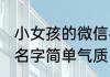 小女孩的微信名字简单气质 女人微信名字简单气质