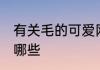 有关毛的可爱网名 带毛的可爱网名有哪些