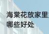 海棠花放家里好不好 家里养海棠花有哪些好处
