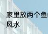 家里放两个鱼缸好吗 家里放两个鱼缸风水