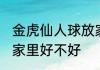 金虎仙人球放家里好吗 金虎仙人球放家里好不好