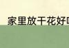 家里放干花好吗 家里放干花好不好