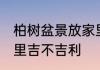 柏树盆景放家里吉利吗 柏树盆景放家里吉不吉利