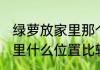 绿萝放家里那个位置比较好 绿萝放家里什么位置比较好