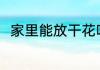 家里能放干花吗 家里可以放干花吗