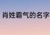 肖姓霸气的名字 独特的肖姓男孩名字