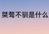桀骜不驯是什么意思 桀骜不驯的意思