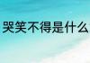 哭笑不得是什么意思 哭笑不得的意思