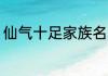 仙气十足家族名 仙气十足家族名介绍