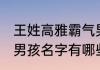 王姓高雅霸气男孩名字 王姓高雅霸气男孩名字有哪些