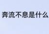奔流不息是什么意思 奔流不息的意思