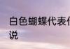 白色蝴蝶代表什么意思 白色蝴蝶的解说
