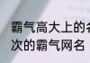 霸气高大上的名字大全 高端大气上档次的霸气网名