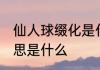 仙人球缀化是什么意思 仙人球缀化意思是什么