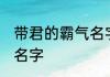 带君的霸气名字三个字 带君的好听的名字