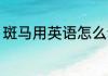 斑马用英语怎么读 斑马英语冀其读法