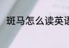 斑马怎么读英语 如何英语表达斑马
