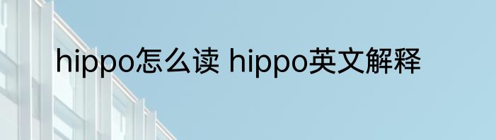 hippo怎么读 hippo英文解释