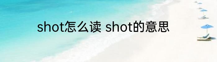 shot怎么读 shot的意思