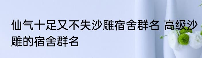 仙气十足又不失沙雕宿舍群名 高级沙雕的宿舍群名