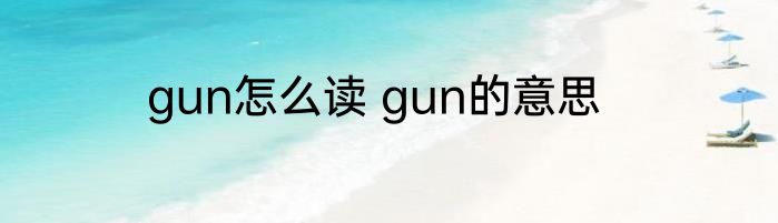gun怎么读 gun的意思