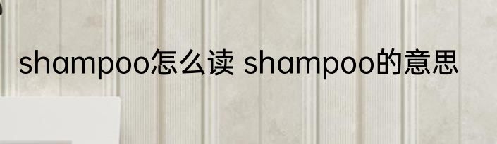 shampoo怎么读 shampoo的意思