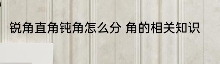 锐角直角钝角怎么分 角的相关知识