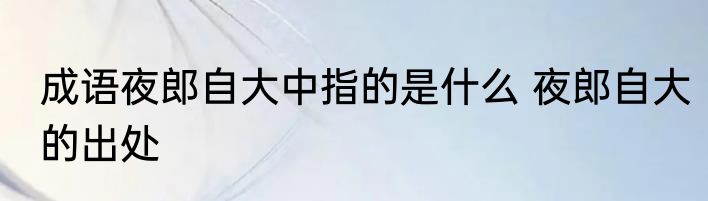 成语夜郎自大中指的是什么 夜郎自大的出处