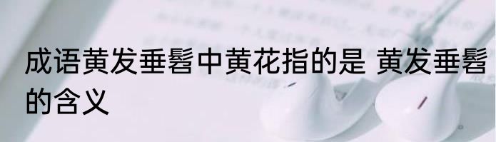成语黄发垂髫中黄花指的是 黄发垂髫的含义