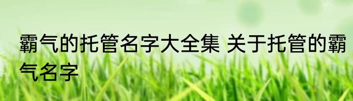 霸气的托管名字大全集 关于托管的霸气名字