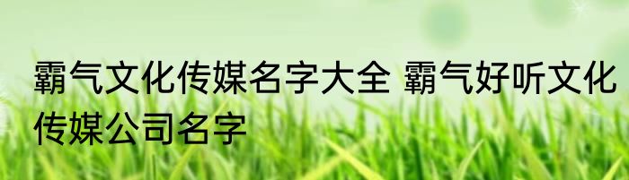 霸气文化传媒名字大全 霸气好听文化传媒公司名字
