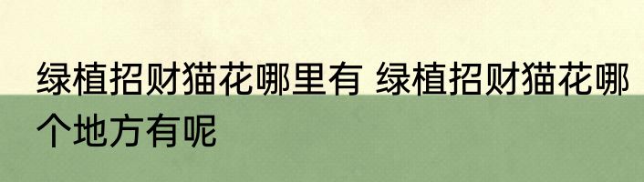 绿植招财猫花哪里有 绿植招财猫花哪个地方有呢