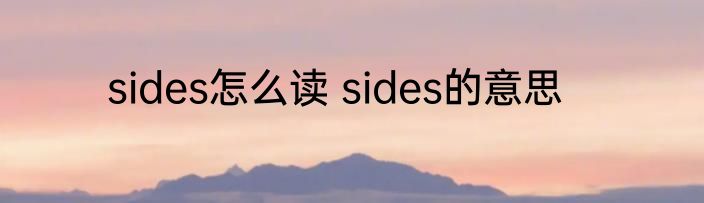sides怎么读 sides的意思