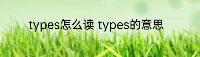 types怎么读 types的意思
