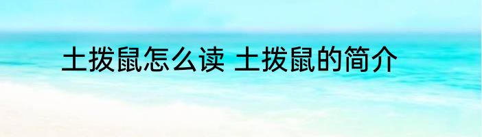 土拨鼠怎么读 土拨鼠的简介